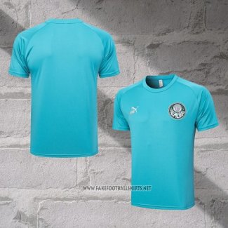 Palmeiras Training Shirt 2023-2024 Green