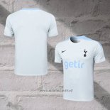 Tottenham Hotspur Training Shirt 2024-2025 Grey