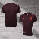 Bayern Munich Training Shirt 2024-2025 Red