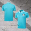 Palmeiras Shirt Polo 2023-2024 Green