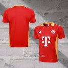 Bayern Munich Training Shirt 2024-2025 Red