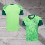 Palmeiras Training Shirt 2024-2025 Green