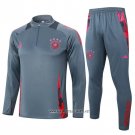 Sweatshirt Tracksuit Germany 2024-2025 Grey